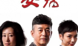 安居电视剧,聚焦基层民生，描绘幸福家园画卷
