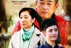 安居电视剧,聚焦基层民生，描绘幸福家园画卷