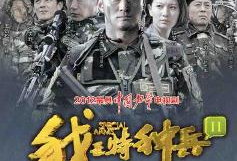 我是特种兵之利刃出鞘电视剧,特种兵的荣耀与挑战