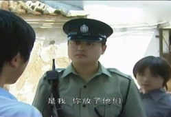 插翅难飞电视剧,命运交织的逃亡之路