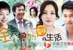 幸福生活电视剧,描绘现代家庭温馨画卷