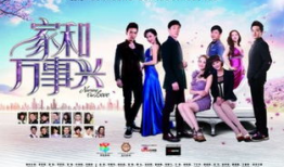 家和万事兴电视剧,温情演绎现代家庭生活