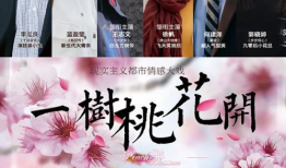 桃花绽放电视剧,爱恨情仇的岁月流转