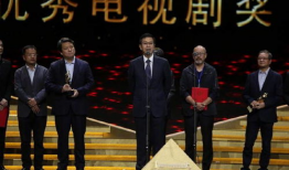 获奖电视剧,年度最佳电视剧获奖作品深度解析