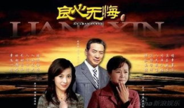 良心无悔电视剧,正义与救赎的抉择