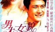 电视剧男才女貌全集,浪漫邂逅，才子佳人共谱爱情传奇