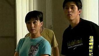 央视cctv8电视剧,精彩剧情引人入胜  第3张