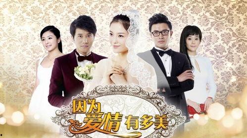 因为爱情电视剧,浪漫邂逅，谱写甜蜜人生