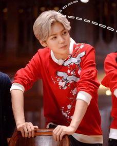 网红明星经纪人,打造明星之路的幕后推手  第3张