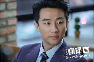 翻译官电视剧,跨越语言的桥梁，演绎爱情与梦想的交响曲
