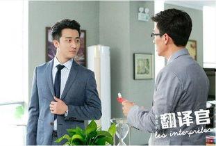 翻译官电视剧,跨越语言的桥梁，演绎爱情与梦想的交响曲  第3张