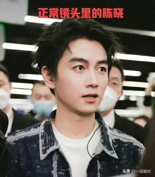 娱乐圈男明星吃瓜爆料,揭秘明星圈层背后的真相与秘密  第3张