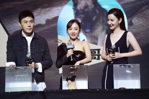 娱乐圈吃瓜主页,揭秘明星背后的故事与真相  第2张