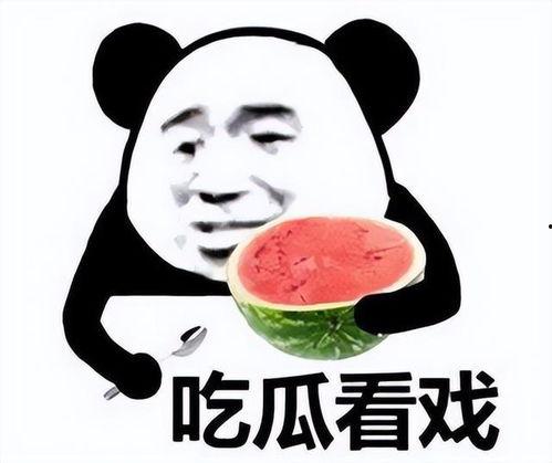 娱乐吃瓜酱为啥不一样,娱乐吃瓜酱为何千姿百态，独家揭秘幕后故事  第3张