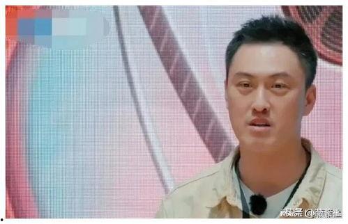 小鱼吃瓜娱乐圈,娱乐圈幕后风云揭秘  第3张