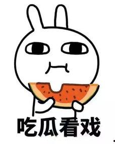 娱乐吃瓜君小号  第2张